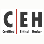 Physical Security Assessment